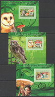 AA1070 IMPERFORATE 2007 DE GUINEE FAUNA BIRDS OWLS MUSHROOMS 3 LUX BL MNH - Hiboux & Chouettes