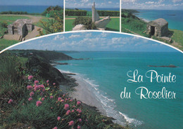 A13482-LA POINTE DU ROSELIER, MONUMENT PERIS EN MER, PLERIN SUR MER COTES D'ARMOR FRANCE BRETAGNE POSTCARD - Plérin / Saint-Laurent-de-la-Mer