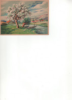 BARRE & DAYEZ - PAYSAGES DE SOUS BOIS  ALLEE FORESTIERE - 1380 C - Barday