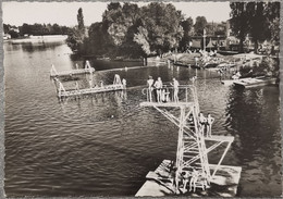 CPSM TREVOUX (01): Le Plongeoir Et La Piscine - Trévoux