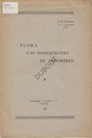 HOOGSTRATEN/Wortel Flora 1933 H. De Bosschere Met Foto Van Wortelkolonie (N374) - Anciens
