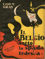 B 4389 - Libro, Gray, Belgio, Prima Guerra Mondiale - Guerra 1914-18