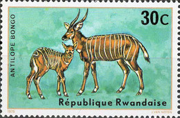 4761 Mi.Nr. 674 Ruanda (1975) Bongo (Tragelaphus Eurycerus) Ungebraucht - Gebraucht