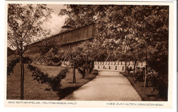 Bad Rothenfelde - Teutoburger Wald - Weg Zum Alten Gradierwerk V.1927 (5083) - Bad Rothenfelde