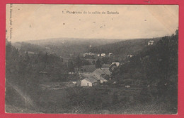 Vielsalm - Panorama De La Vallée De Golonfa  -1909 ( Voir Verso ) - Vielsalm
