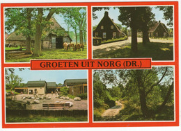 Groeten Uit Norg (Dr.) - (Nederland/Holland) - L 5750 - Norg