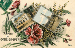 Cour Cheverny * Souvenir Du Village ! - Cheverny