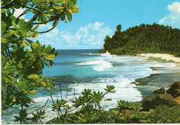 SEYCHELLES PHOTO EDEN  No.37.police Bay - Seychelles