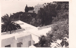 A13578- HOTEL ROOF BUILDINGS PALM TREES  SOLDEN TIROL AUSTRIA  POSTCARD - Sölden