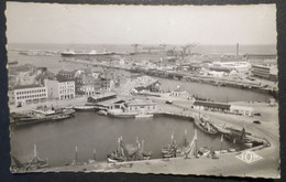 59 - Dunkerque - Carte Photo Dentelée - Panorama Du Port , Vue Sur L'Entrée N° 337 - J. Top - 1956 - B.E - - Dunkerque