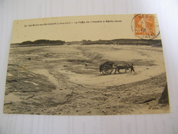 CPA - Quimiac En Mesquer (44) - La Plage De L'Anséria à Marée Basse - 1928 - SUP  (FL 36) - Mesquer Quimiac