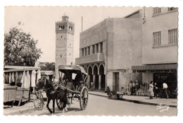 Tunisie--BIZERTE -- La Mosquée  ( Animée , Attelage ) ........pas Très Courante.....................à Saisir - Tunisia