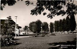 Kreuzlingen (Thg.) - Hafenpark (13430) * 3. 12. 1954 - Kreuzlingen