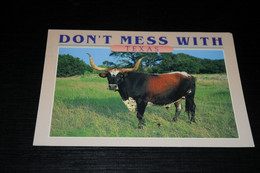 31037-                        DON'T MESS WITH TEXAS - Toros