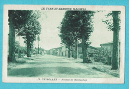 * Grisolles (Dép 82 - Tarn Et Garonne - France) * (Edition Labrune, Cliché Causatières, Nr 13) Avenue De Montauban - Grisolles