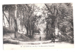 CPA 22 Saint-Cast (Côtes-d'Armor) Le Bois De La Vauvelle - Saint-Cast-le-Guildo