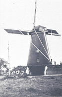 BOORSEM - Ons Molenheem - Moulin à Vent - Windmolen - Windmill - Windmühle - Maasmechelen