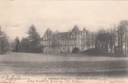 8274) CHAILLAND - Mayenne - Chateau De La FORGE - 1905 !! - Chailland