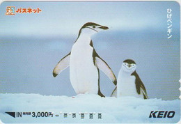 BIRDS - JAPAN - H1977 - Pinguins - PREPAID - Pinguins