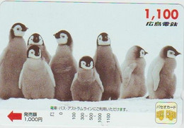 BIRDS - JAPAN - H1981 - Pinguins - PREPAID - Pingueinos