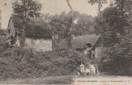 76 - VEULES LES ROSES - Lavoir Et Cressonnières - Veules Les Roses