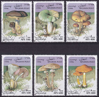 Afghanistan YT 1500/05 Mi 1668/73 Année 1996 (CTO) Champignon - Mushroom - Afghanistan