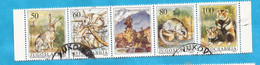 1992 2525-28 AUSVERKAUF  JUGOSLAVIJA OSLAWIEN WWF HASEN  USED - Used Stamps