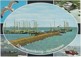 Schiermonnikoog - Jachthaven - (Nederland/Holland) - L 2838 - Schiermonnikoog