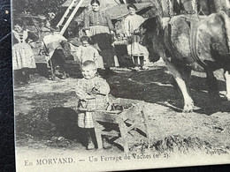 Cpa En Morvan Un Ferrage De Vaches Edition Cecodi D’après 1900 Qualité - Franche-Comté