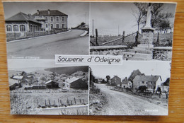 5326/ Souvenir D'ODEIGNE -(4 Vues) - Manhay