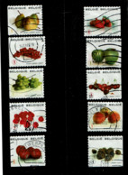 Volledig Boekje Fruit Uit 2007 (OBP 3685 T/m 3694) - Andere & Zonder Classificatie