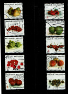 Volledig Boekje Fruit Uit 2007 (OBP 3685 T/m 3694) - Altri & Non Classificati
