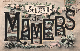 Souvenir De Mamers (Sarthe) Multivues - Edition Librairie Fleuriel - Souvenir De...