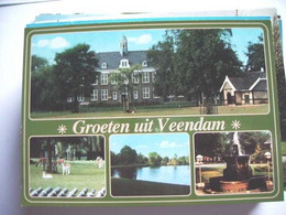 Nederland Holland Pays Bas Veendam In Groen - Veendam
