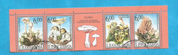 1999  2914-17 AUSVERKAUF  JUGOSLAVIJA  JUGOSLAWIEN WWF FLORA PILZE FUNGHI  USED - Used Stamps