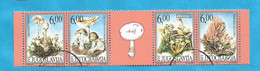 1999  2914-17 AUSVERKAUF  JUGOSLAVIJA  JUGOSLAWIEN WWF FLORA PILZE FUNGHI  USED - Oblitérés