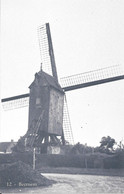 BEERNEM - Ons Molenheem - Moulin à Vent - Windmolen - Windmill - Windmühle - Beernem