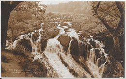 Carte Photo - The Swallow Falls - Caernarvonshire