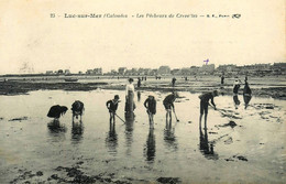 Luc Sur Mer * Les Pêcheurs De Crevettes * Pêche - Luc Sur Mer