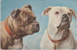 Gueules De 2 Chiens Bull Dogs Illustr. C.R. - Other & Unclassified