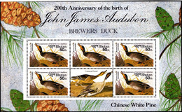 BIRDS-BREWER'S DUCK & CHINESE WHITE PINE-200th ANN OF J J AUDUBON- MS-BHUTAN-SCARCE- MNH- ABHTMS-64 - Bhoutan