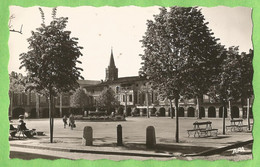 ANG465  CPSM  LISLE-SUR-TARN  (Tarn)   Place De La Mairie  ++++ - Lisle Sur Tarn