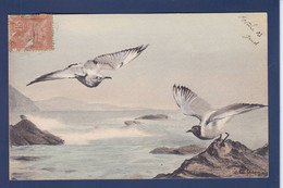 CPA Oiseau Mouette Dessin De Andreossi Circulé - Oiseaux