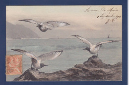 CPA Oiseau Mouette Dessin De Andreossi Circulé - Oiseaux