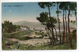 MONT LIBAN - AINZEHALTA - Libanon