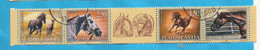 1998 AUSVERKAUF  JUGOSLAVIJA  JUGOSLAWIEN PFERDE SPORT USED - Used Stamps