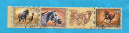 1998 AUSVERKAUF  JUGOSLAVIJA  JUGOSLAWIEN PFERDE SPORT USED - Used Stamps