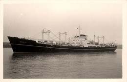 GERARD LD * Carte Photo * Bateau Cargo Paquebot Commerce Marine Marchande ? Société Compagnie DREYFUS - Cargos