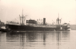 VILLE DE MAJUNGA * Carte Photo * Bateau Cargo Paquebot Commerce Marine Marchande ? Compagnie Havraise Péninculaire - Handel