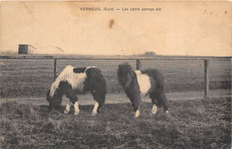 27-VERNEUIL- LES PETITS PONEY PIE - Verneuil-sur-Avre